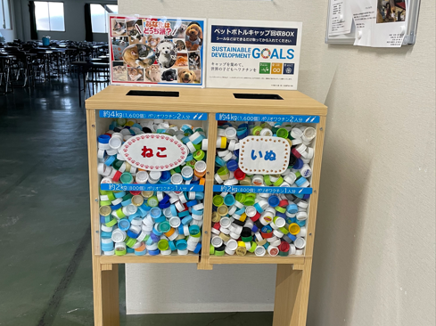 キャップでつなぐ未来！ 社員のエコ寄付活動｜千代電子工業株式会社